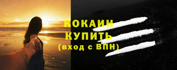 СК Осинники