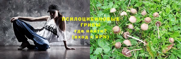 СК Осинники