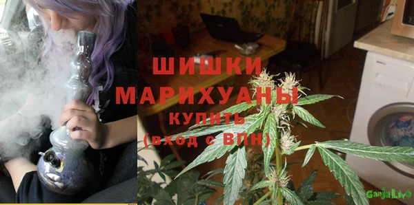 СК Осинники