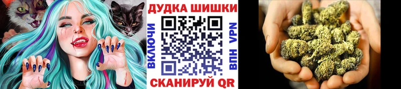 Купить закладки  Нефтекумск  Марихуана Amnesia 